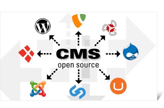alt text: Hình ảnh minh họa CMS là gì